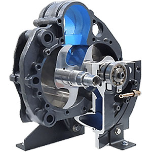 Oil-less rotary tooth pumps
